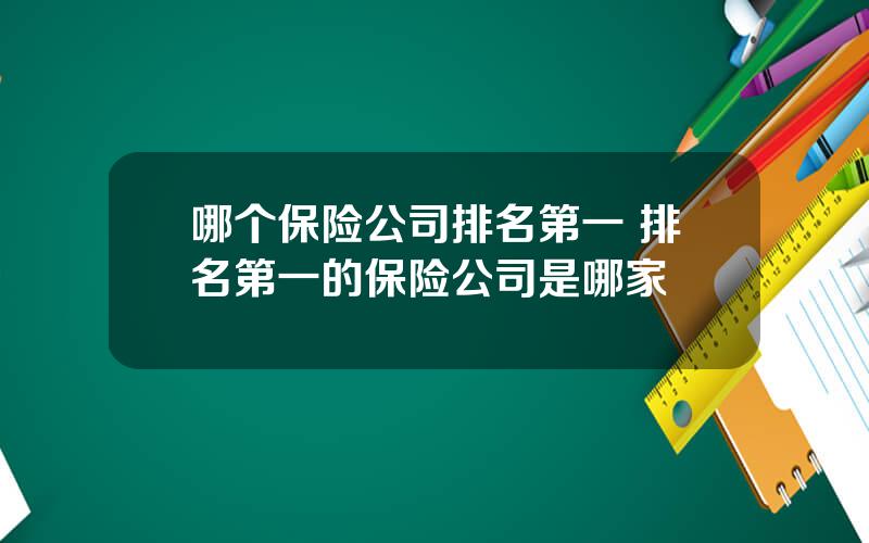 哪个保险公司排名第一 排名第一的保险公司是哪家